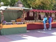 Foto 14 - La IX feria ganadera de Soria abre sus puertas