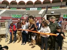 Foto 6 - La IX feria ganadera de Soria abre sus puertas