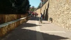 Foto 19 - &Aacute;greda se prepara para las fiestas con la celebraci&oacute;n de la II Trashumancia