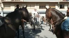 Foto 18 - &Aacute;greda se prepara para las fiestas con la celebraci&oacute;n de la II Trashumancia