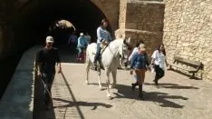 Foto 17 - &Aacute;greda se prepara para las fiestas con la celebraci&oacute;n de la II Trashumancia