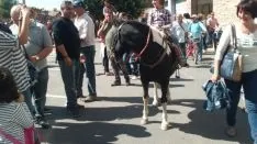 Foto 15 - &Aacute;greda se prepara para las fiestas con la celebraci&oacute;n de la II Trashumancia