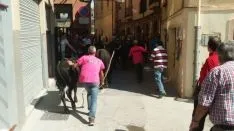 Foto 11 - &Aacute;greda se prepara para las fiestas con la celebraci&oacute;n de la II Trashumancia