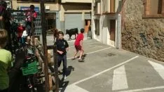 Foto 7 - &Aacute;greda se prepara para las fiestas con la celebraci&oacute;n de la II Trashumancia