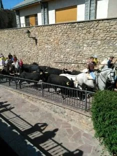 Foto 4 - &Aacute;greda se prepara para las fiestas con la celebraci&oacute;n de la II Trashumancia