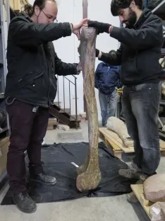 Foto 4 - Descubren un nuevo dinosaurio soriano: El 'Soriatitan Golmayensis'