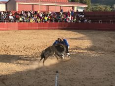 Fiestas de Ólvega