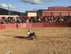 Fiestas de Ólvega