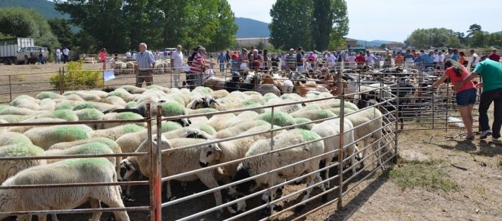 Feria Ganadera de Vinuesa