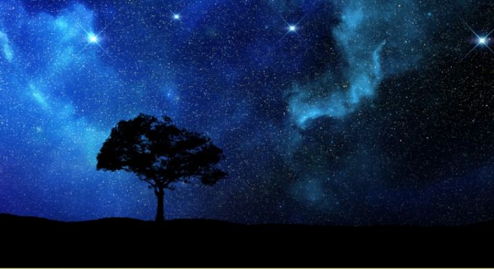 Con dos noches de observación.