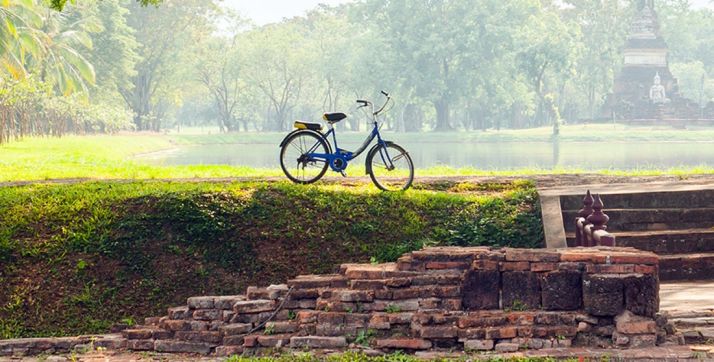 Aporta el Camino de Santiago Francés y la Ruta de la Planta.