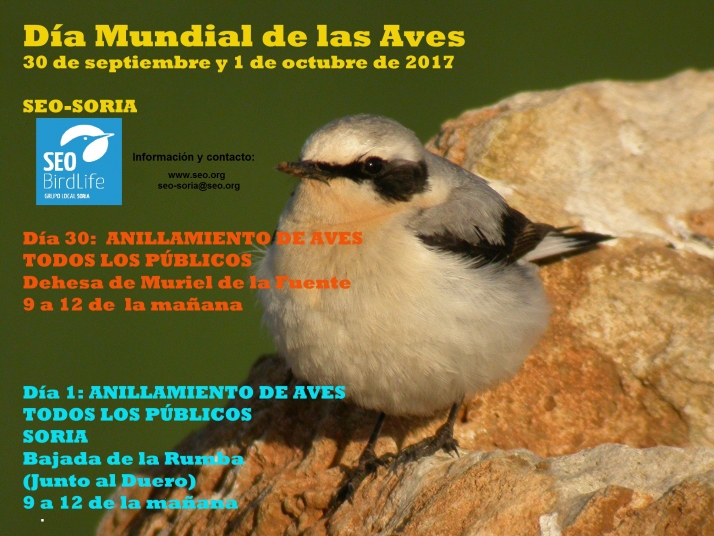 El día mundial de las aves, también en Soria