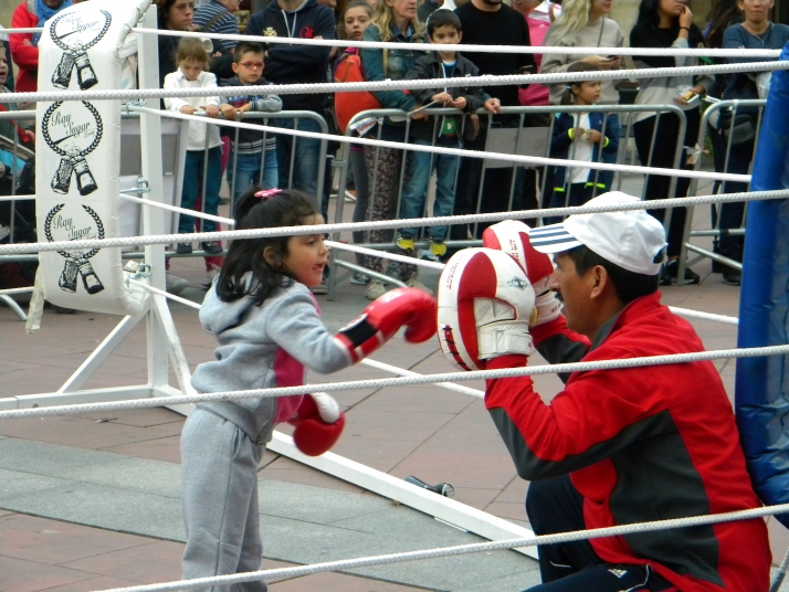 Mariano Granados acoge una exhibición de boxeo y kick boxing