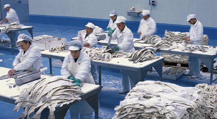 Factoría de bacalao en Ágreda.