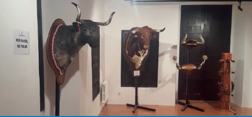 Ágreda prepara los actos previos a sus fiestas de San Miguel