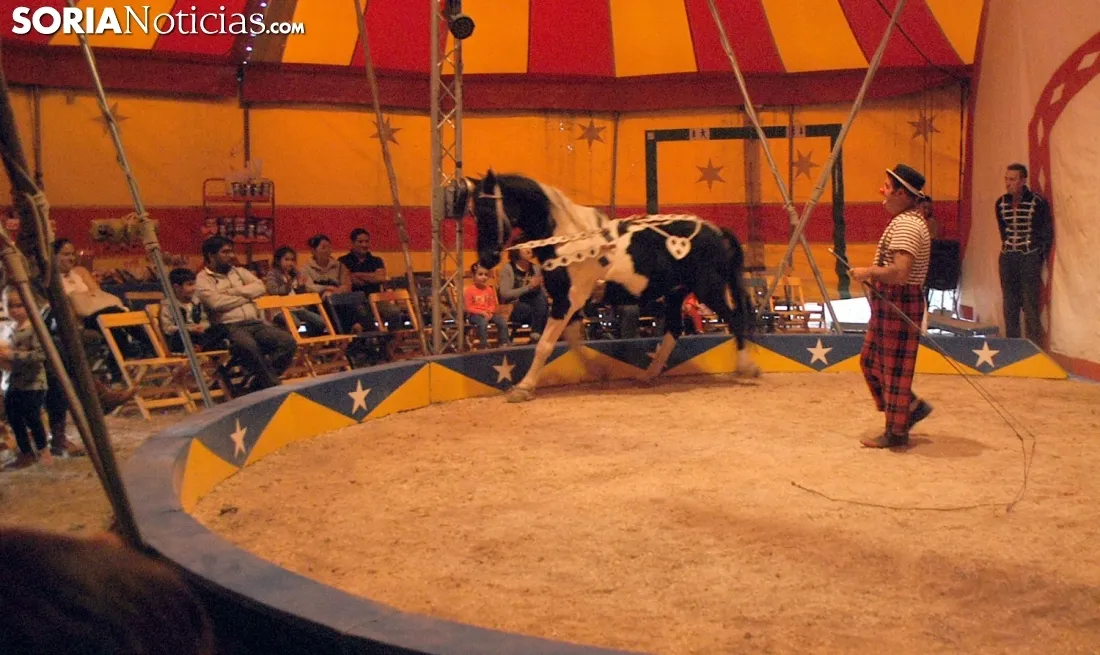 Una de las escenas del circo./SN