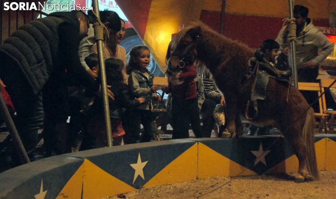 Una de las escenas del circo./SN