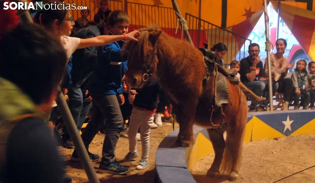 Una de las escenas del circo./SN