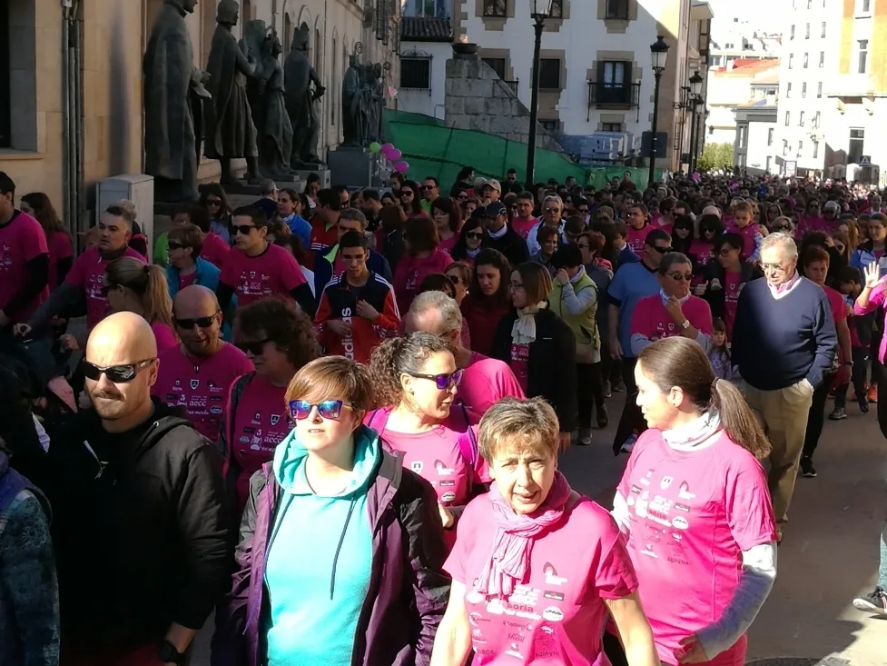 Foto 11 - Fotos: Multitudinaria Marcha contra el C&aacute;ncer en Soria