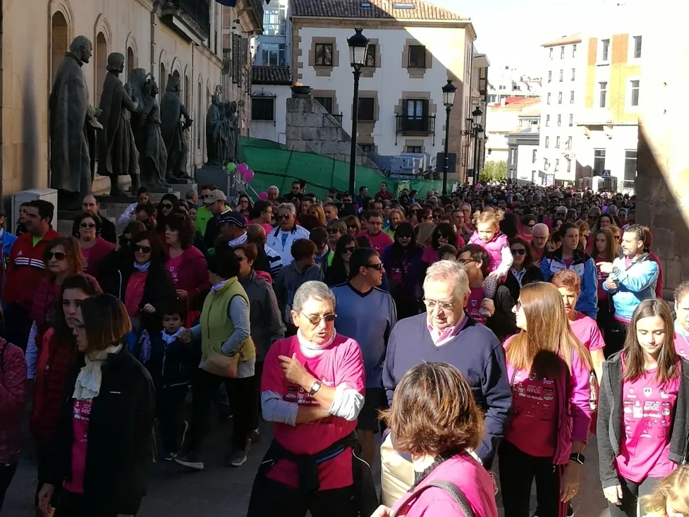 Foto 10 - Fotos: Multitudinaria Marcha contra el C&aacute;ncer en Soria