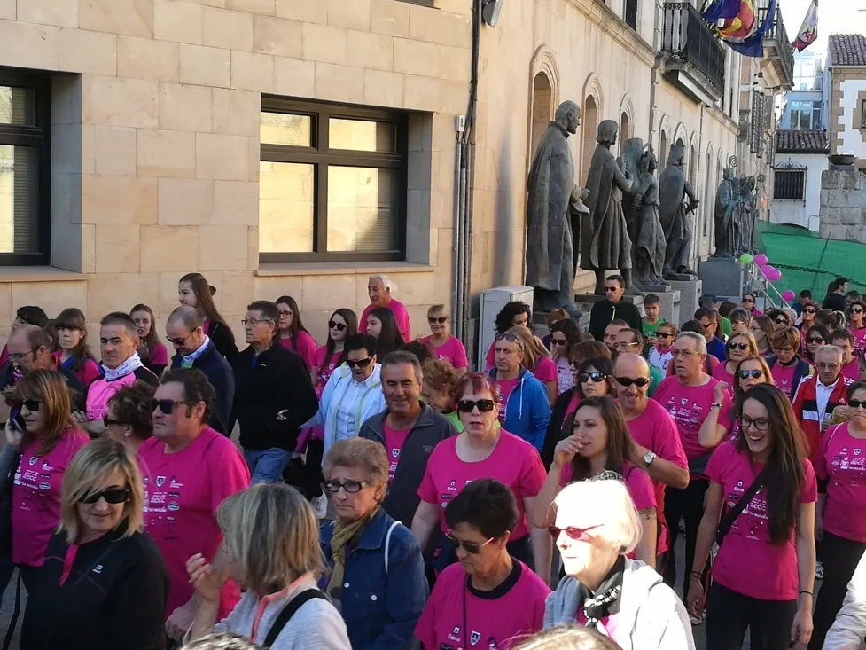 Foto 8 - Fotos: Multitudinaria Marcha contra el C&aacute;ncer en Soria