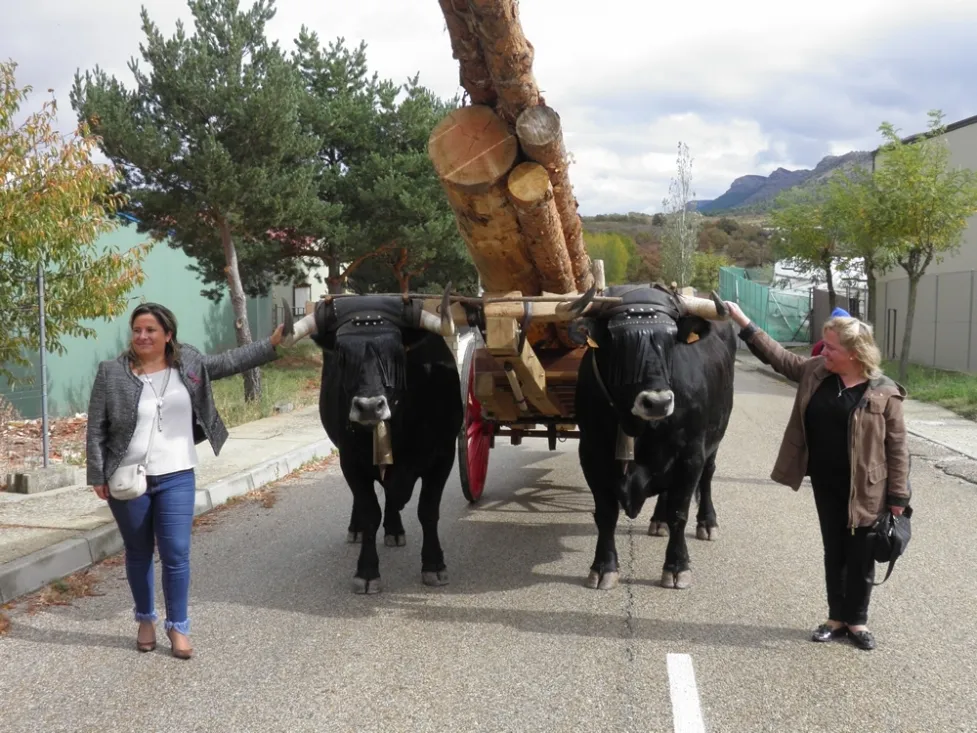 Foto 2 - Las I Jornadas Gastron&oacute;micas de la Raza Serrana Negra comienzan con un gran &eacute;xito
