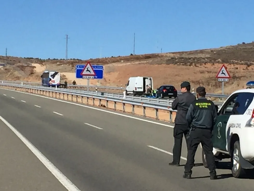 Foto 8 - Cortada la A-15 a la altura de Medinaceli por una falsa amenaza de bomba en un autob&uacute;s