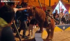 Una de las escenas del circo./SN