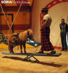 Una de las escenas del circo./SN