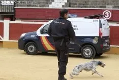 Foto 13 - Galer&iacute;a: 1.000 ni&ntilde;os, los TEDAX y los perros polic&iacute;a 