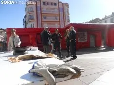 Una imagen de la jornada de este viernes./SN