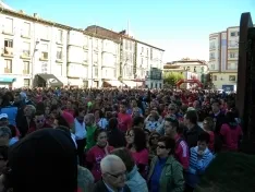 Foto 73 - Fotos: Multitudinaria Marcha contra el C&aacute;ncer en Soria