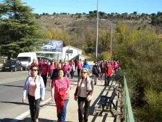 Foto 50 - Fotos: Multitudinaria Marcha contra el C&aacute;ncer en Soria