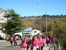 Foto 48 - Fotos: Multitudinaria Marcha contra el C&aacute;ncer en Soria