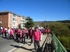 Foto 44 - Fotos: Multitudinaria Marcha contra el C&aacute;ncer en Soria