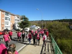 Foto 43 - Fotos: Multitudinaria Marcha contra el C&aacute;ncer en Soria
