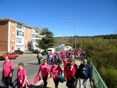 Foto 41 - Fotos: Multitudinaria Marcha contra el C&aacute;ncer en Soria
