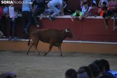 Buen ambiente en el coso de San Benito./SN