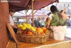 Una imagen del Mercado Medieval este viernes./SN