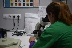 Clínica Veterinaria La Dehesa