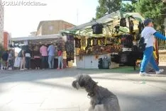 Una imagen del Mercado Medieval este viernes./SN