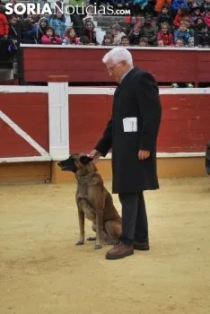Imagen del ambiente en la plaza de toros este martes./SN