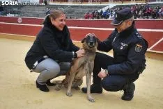 Imagen del ambiente en la plaza de toros este martes./SN