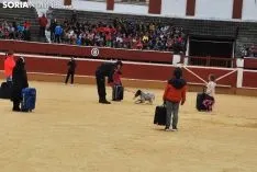 Foto 23 - Galer&iacute;a: 1.000 ni&ntilde;os, los TEDAX y los perros polic&iacute;a 