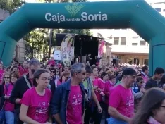 Foto 28 - Fotos: Multitudinaria Marcha contra el C&aacute;ncer en Soria