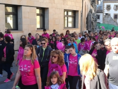 Foto 18 - Fotos: Multitudinaria Marcha contra el C&aacute;ncer en Soria