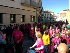 Foto 17 - Fotos: Multitudinaria Marcha contra el C&aacute;ncer en Soria