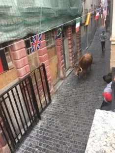 Foto 25 - Encierro y comida popular para el pen&uacute;ltimo d&iacute;a de San Miguel en &Aacute;greda