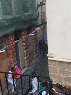 Foto 21 - Encierro y comida popular para el pen&uacute;ltimo d&iacute;a de San Miguel en &Aacute;greda