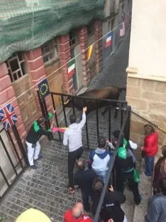 Foto 23 - Encierro y comida popular para el pen&uacute;ltimo d&iacute;a de San Miguel en &Aacute;greda